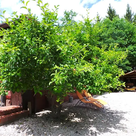 Tatil Evi Dom Na Lesnym Zaciszu Ii