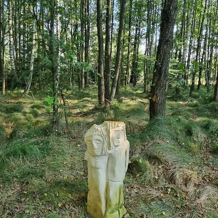 Tatil Evi Dom Na Lesnym Zaciszu Ii Dziwiszow