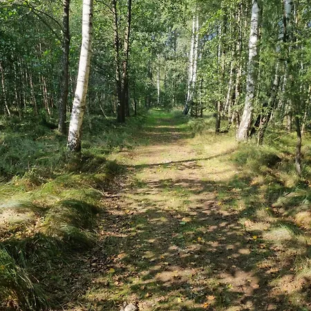 Dom Na Lesnym Zaciszu Ii